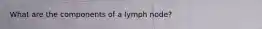 What are the components of a lymph node?