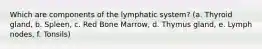 Which are components of the lymphatic system? (a. Thyroid gland, b. Spleen, c. Red Bone Marrow, d. Thymus gland, e. Lymph nodes, f. Tonsils)