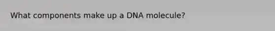 What components make up a DNA molecule?