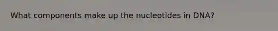 What components make up the nucleotides in DNA?