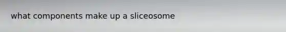 what components make up a sliceosome