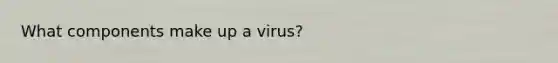 What components make up a virus?