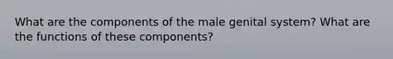 What are the components of the male genital system? What are the functions of these components?