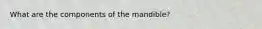 What are the components of the mandible?