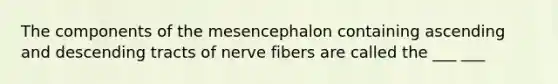 The components of the mesencephalon containing ascending and descending tracts of nerve fibers are called the ___ ___