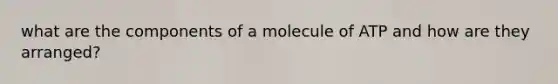 what are the components of a molecule of ATP and how are they arranged?