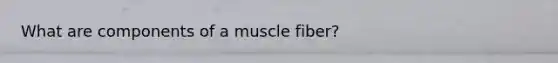 What are components of a muscle fiber?