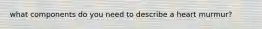 what components do you need to describe a heart murmur?