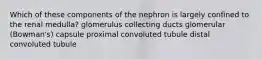 Which of these components of the nephron is largely confined to the renal medulla? glomerulus collecting ducts glomerular (Bowman's) capsule proximal convoluted tubule distal convoluted tubule