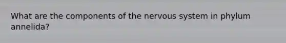 What are the components of the nervous system in phylum annelida?