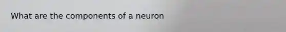 What are the components of a neuron