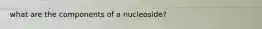 what are the components of a nucleoside?