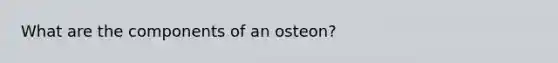 What are the components of an osteon?