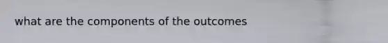 what are the components of the outcomes