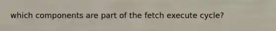 which components are part of the fetch execute cycle?