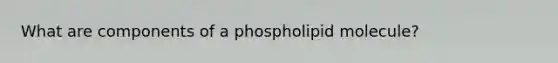 What are components of a phospholipid molecule?