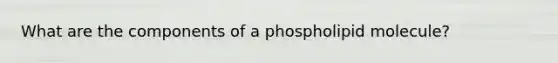 What are the components of a phospholipid molecule?