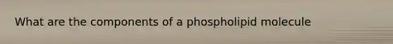 What are the components of a phospholipid molecule