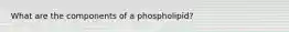 What are the components of a phospholipid?