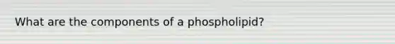 What are the components of a phospholipid?