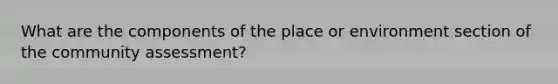 What are the components of the place or environment section of the community assessment?