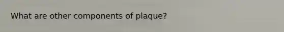 What are other components of plaque?