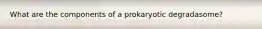 What are the components of a prokaryotic degradasome?