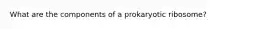 What are the components of a prokaryotic ribosome?