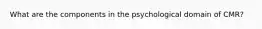 What are the components in the psychological domain of CMR?