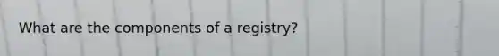 What are the components of a registry?