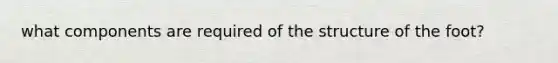 what components are required of the structure of the foot?