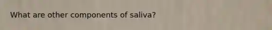 What are other components of saliva?