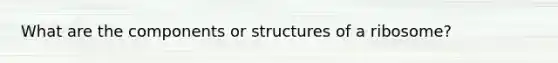 What are the components or structures of a ribosome?