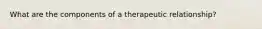 What are the components of a therapeutic relationship?