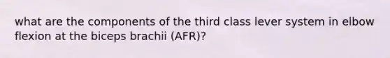 what are the components of the third class lever system in elbow flexion at the biceps brachii (AFR)?