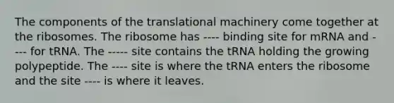 The components of the translational machinery come together at the ribosomes. The ribosome has ---- binding site for mRNA and ---- for tRNA. The ----- site contains the tRNA holding the growing polypeptide. The ---- site is where the tRNA enters the ribosome and the site ---- is where it leaves.