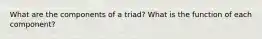 What are the components of a triad? What is the function of each component?