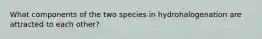 What components of the two species in hydrohalogenation are attracted to each other?