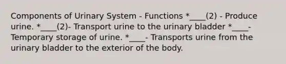 Components of Urinary System - Functions *____(2) - Produce urine. *____(2)- Transport urine to the <a href='https://www.questionai.com/knowledge/kb9SdfFdD9-urinary-bladder' class='anchor-knowledge'>urinary bladder</a> *____- Temporary storage of urine. *____- Transports urine from the urinary bladder to the exterior of the body.