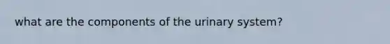 what are the components of the urinary system?