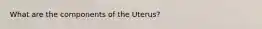 What are the components of the Uterus?