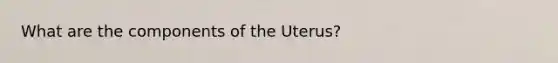 What are the components of the Uterus?