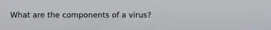 What are the components of a virus?