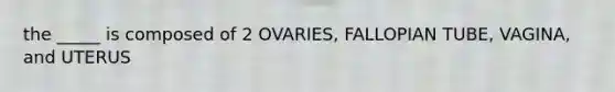 the _____ is composed of 2 OVARIES, FALLOPIAN TUBE, VAGINA, and UTERUS