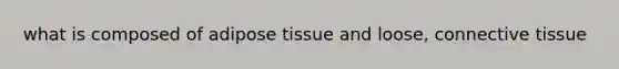 what is composed of adipose tissue and loose, connective tissue