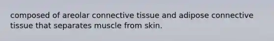 composed of areolar connective tissue and adipose connective tissue that separates muscle from skin.