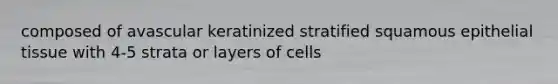 composed of avascular keratinized stratified squamous epithelial tissue with 4-5 strata or layers of cells