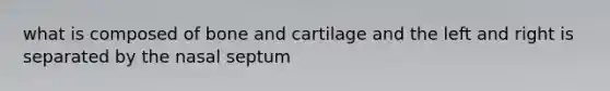 what is composed of bone and cartilage and the left and right is separated by the nasal septum