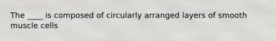 The ____ is composed of circularly arranged layers of smooth muscle cells