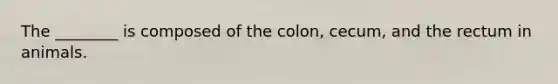 The ________ is composed of the colon, cecum, and the rectum in animals.